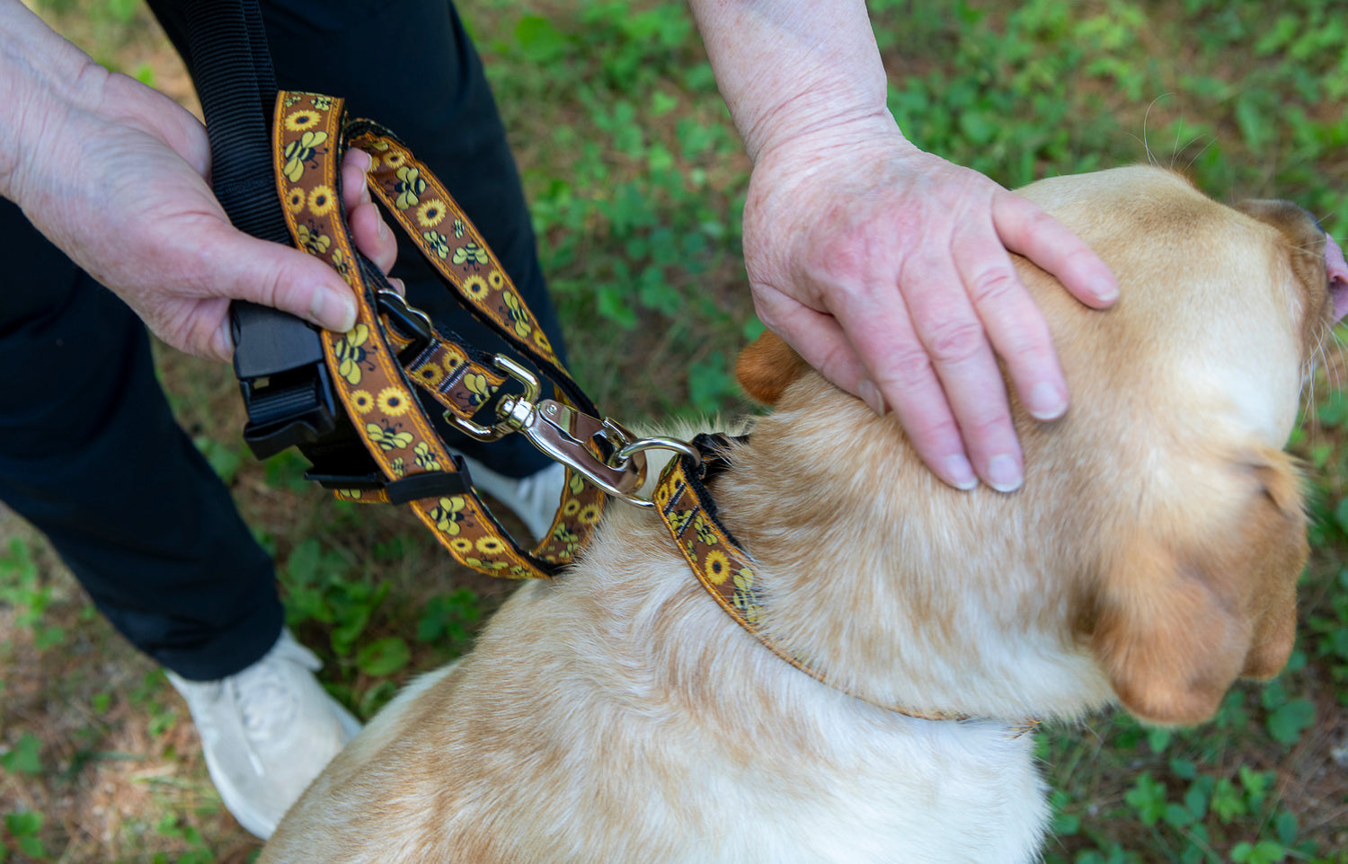 Leashes