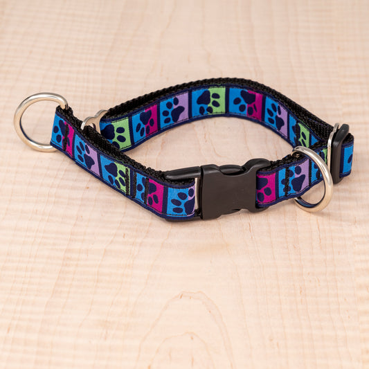 Limited Slip Collar - Jewel Tone Paws