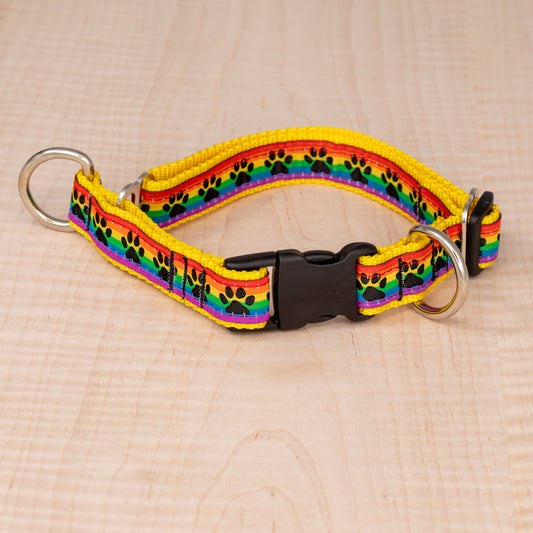 Limited Slip Collar - Rainbow Paws