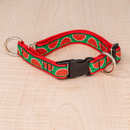 Limited Slip Collar - Watermelon