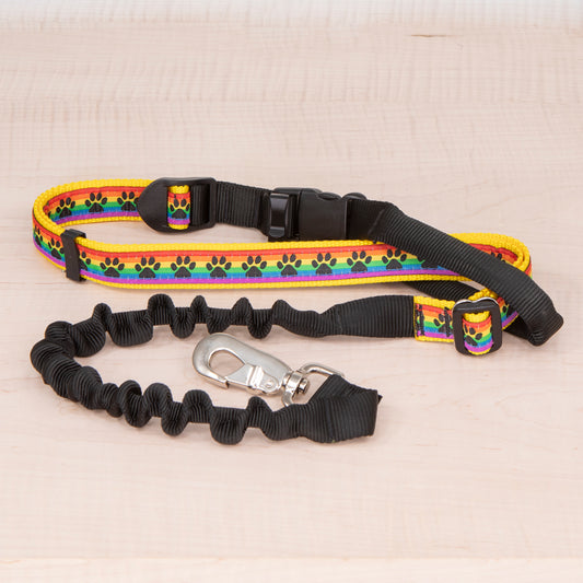 Super Bungee Leash - Rainbow Paws