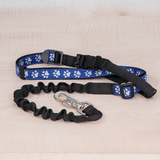 Super Bungee Leash - Reflective Paws Royal