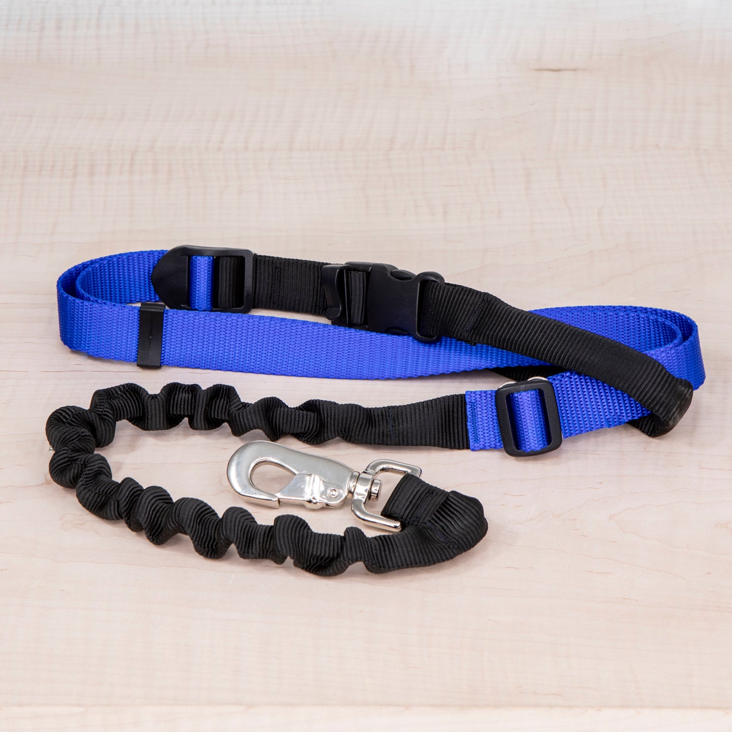 Super Bungee Leash - Royal