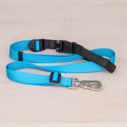 Sports Doggie Leash -  Aqua