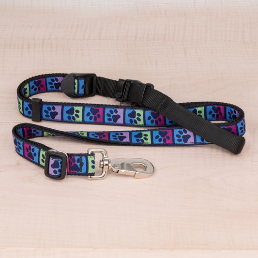 Sports Doggie Leash -  Jewel Tone Paws