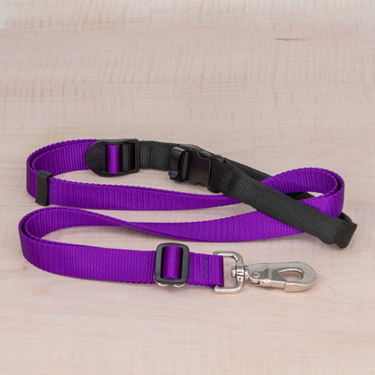 Sports Doggie Leash -  Purple