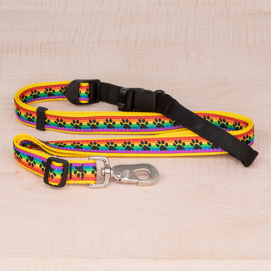 Sports Doggie Leash -  Rainbow Paws