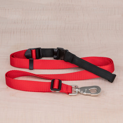 Sports Doggie Leash -  Red