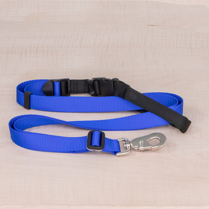 Sports Doggie Leash -  Royal