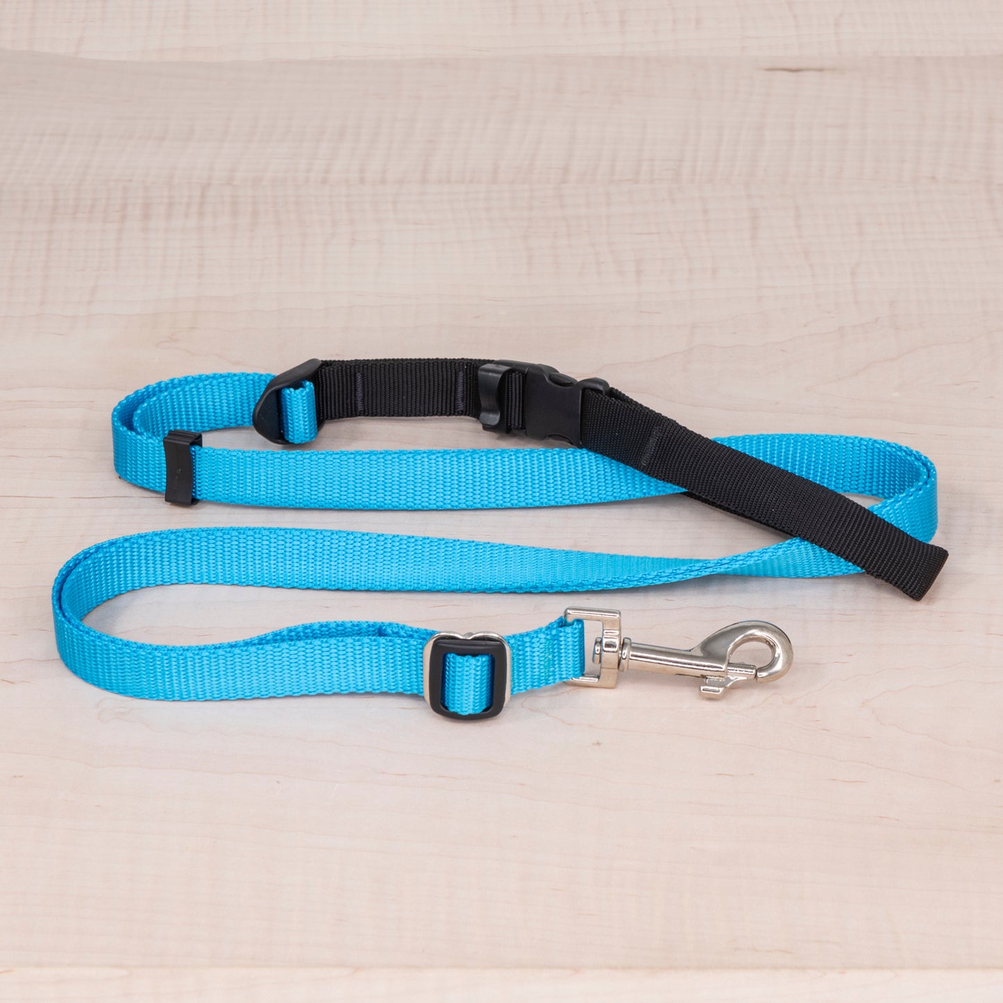 Sports Doggie Leash -  Aqua