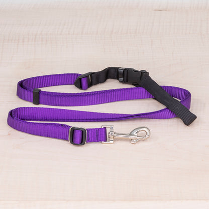 Sports Doggie Leash -  Purple