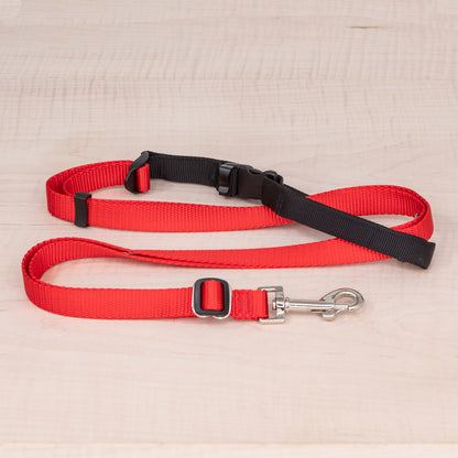 Sports Doggie Leash -  Red