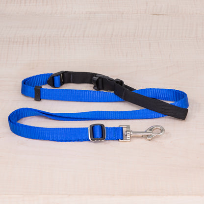 Sports Doggie Leash -  Royal