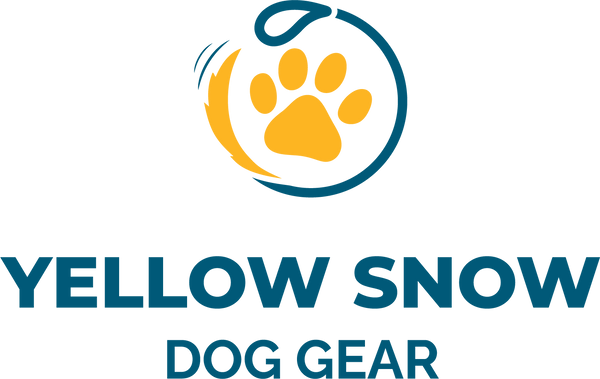 Yellow Snow Dog Gear